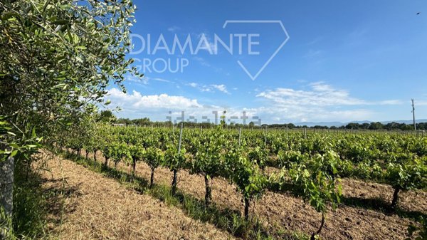 casa indipendente in vendita a Castiglione del Lago