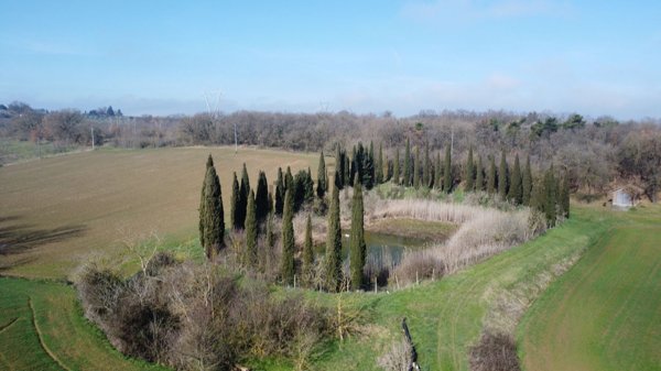 azienda agricola in vendita a Castiglione del Lago in zona Petrignano del Lago