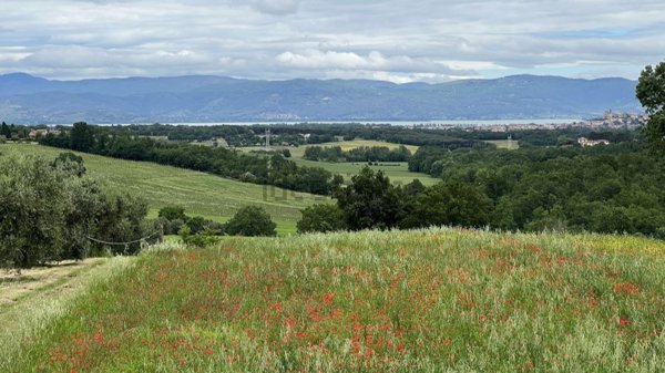 terreno edificabile in vendita a Castiglione del Lago