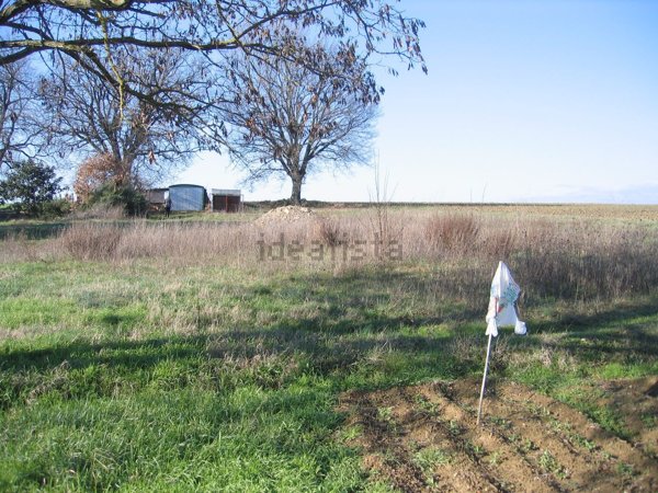 appartamento in vendita a Castiglione del Lago