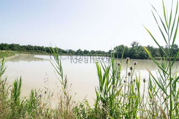 casa indipendente in vendita a Castiglione del Lago