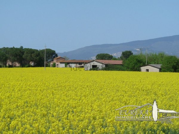 casa indipendente in vendita a Castiglione del Lago in zona Piana