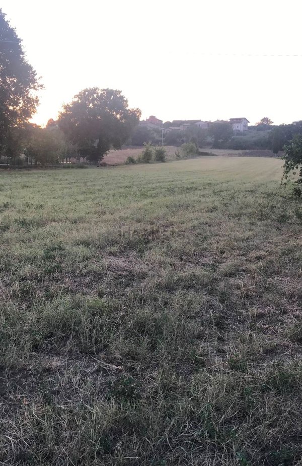 appartamento in vendita a Castiglione del Lago