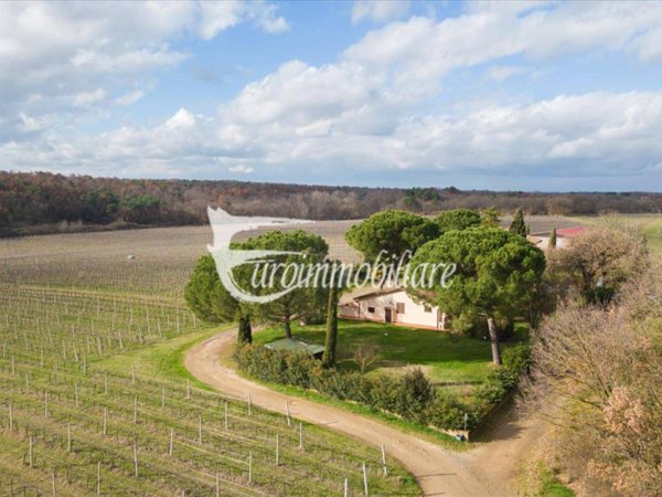 negozio in vendita a Castiglione del Lago