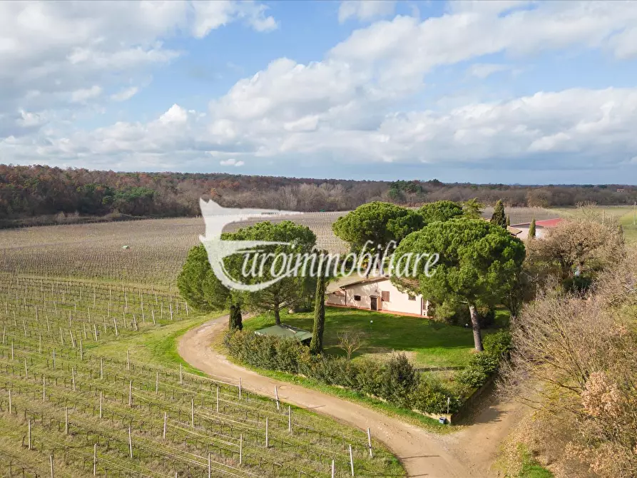 azienda agricola in vendita a Castiglione del Lago