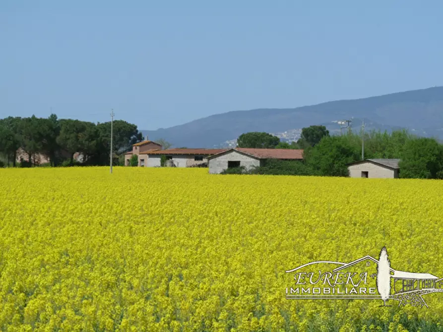 casa indipendente in vendita a Castiglione del Lago in zona Piana