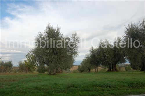 terreno edificabile in vendita a Castiglione del Lago in zona Badia