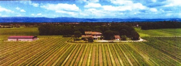 terreno agricolo in vendita a Castiglione del Lago
