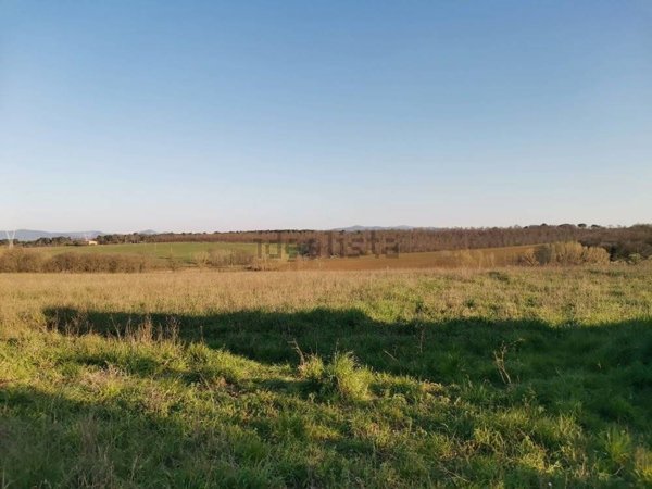 terreno agricolo in vendita a Castiglione del Lago