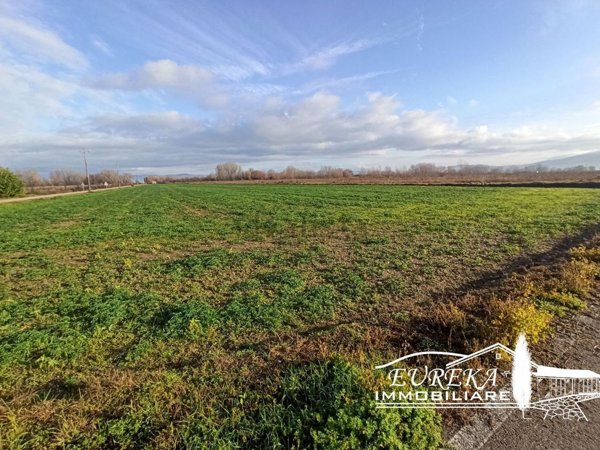 terreno agricolo in vendita a Castiglione del Lago