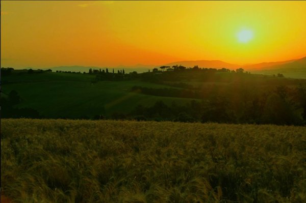 casa indipendente in vendita a Castiglione del Lago