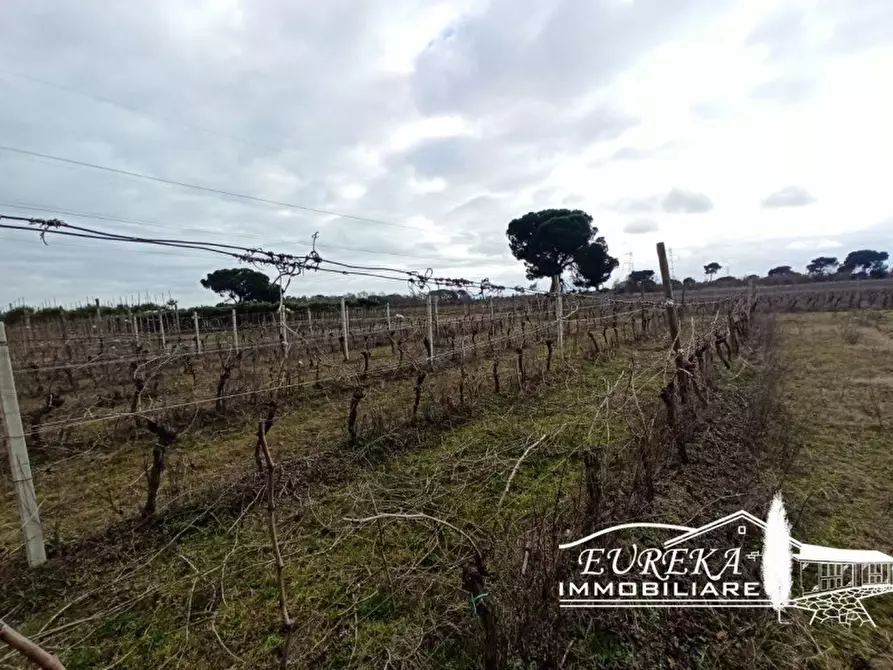 mansarda in vendita a Castiglione del Lago in zona Piana