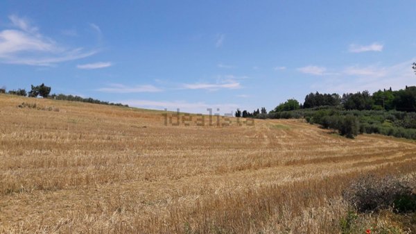casale in vendita a Castiglione del Lago