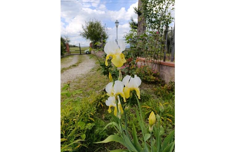 casa indipendente in vendita a Castiglione del Lago
