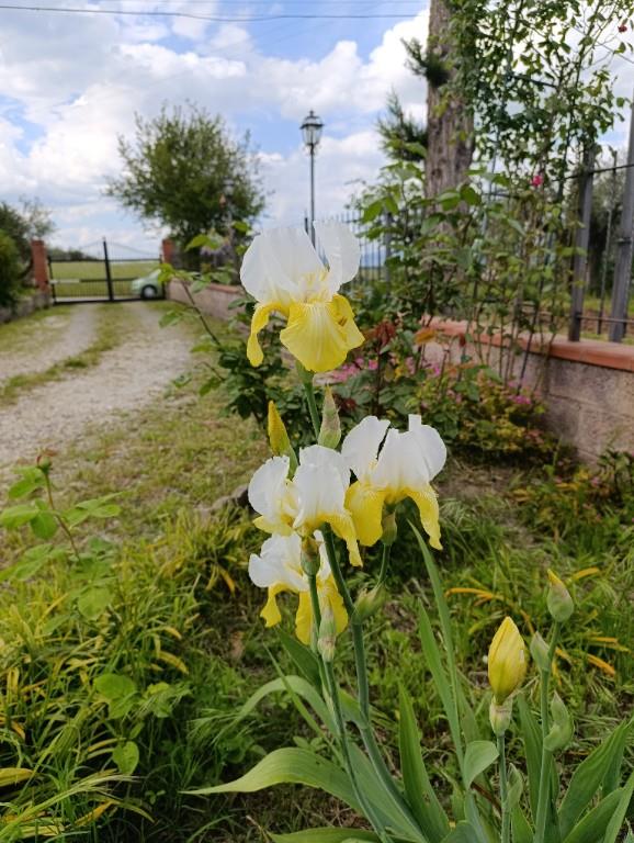 casa indipendente in vendita a Castiglione del Lago