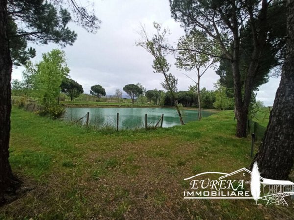 terreno agricolo in vendita a Castiglione del Lago