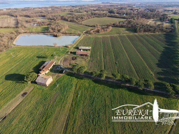 terreno agricolo in vendita a Castiglione del Lago