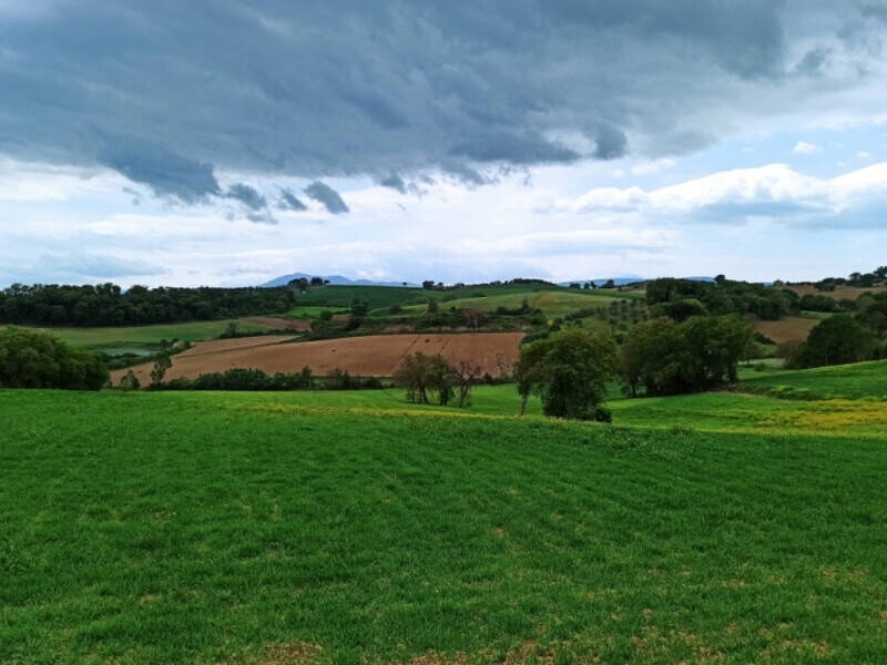 terreno agricolo in vendita a Castiglione del Lago