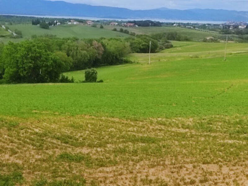 terreno agricolo in vendita a Castiglione del Lago