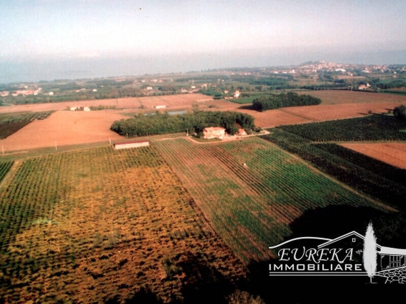 terreno agricolo in vendita a Castiglione del Lago