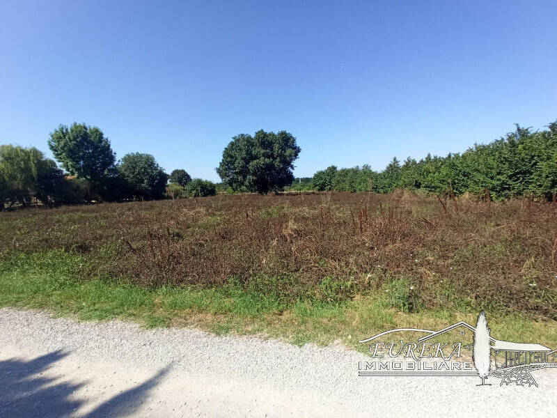 terreno agricolo in vendita a Castiglione del Lago
