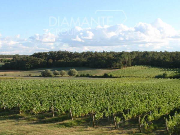 casa indipendente in vendita a Castiglione del Lago