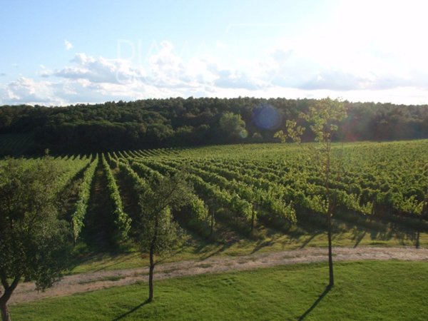 casa indipendente in vendita a Castiglione del Lago