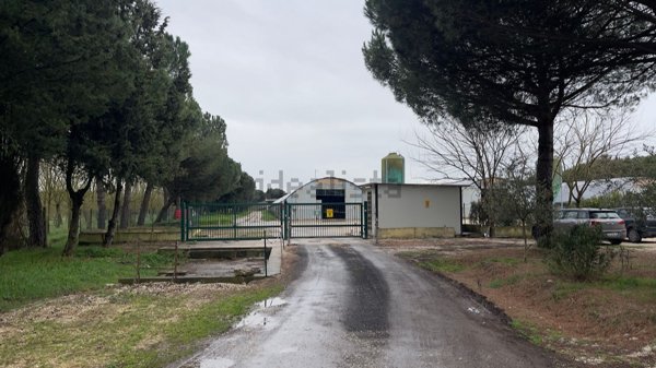 casa indipendente in vendita a Castiglione del Lago