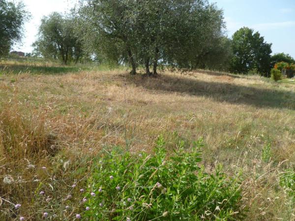 terreno edificabile in vendita a Castiglione del Lago in zona Vaiano