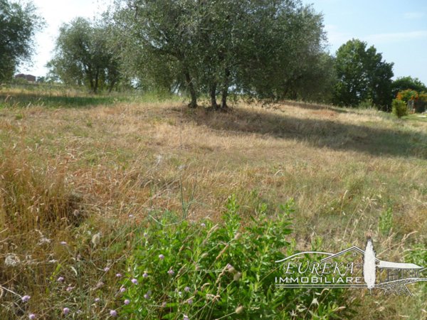 terreno edificabile in vendita a Castiglione del Lago in zona Vaiano