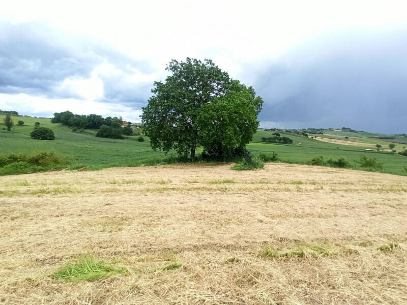 terreno edificabile in vendita a Castiglione del Lago in zona Porto