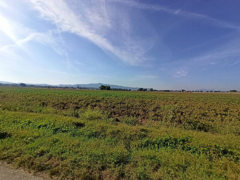 terreno edificabile in vendita a Castiglione del Lago