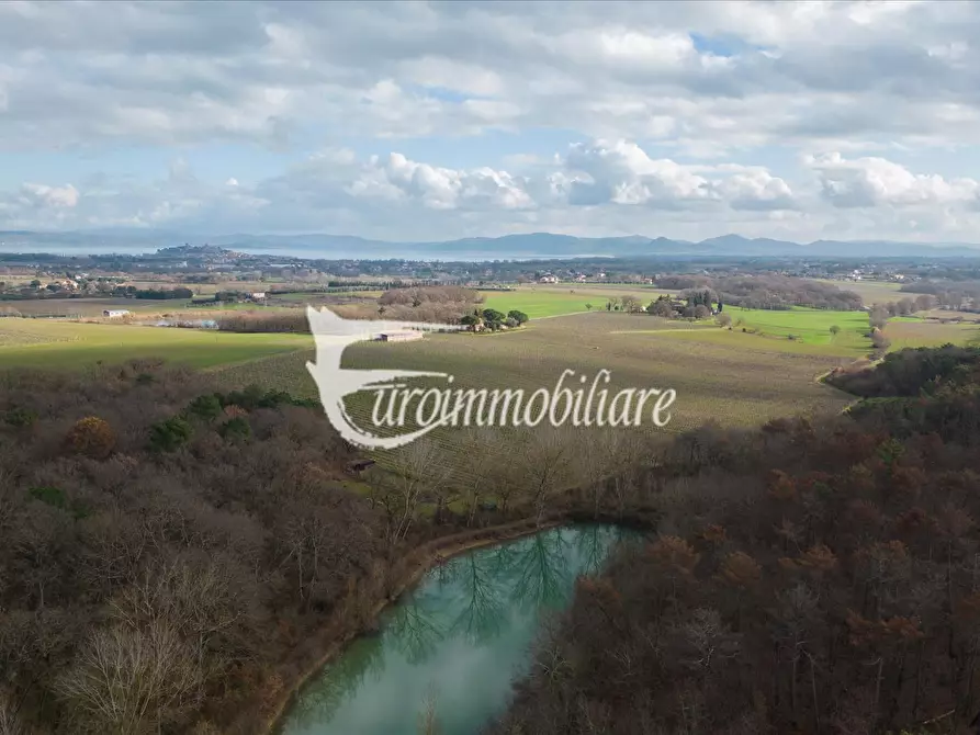 azienda agricola in vendita a Castiglione del Lago in zona Piana
