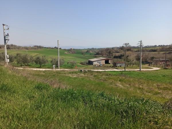 negozio in vendita a Castiglione del Lago
