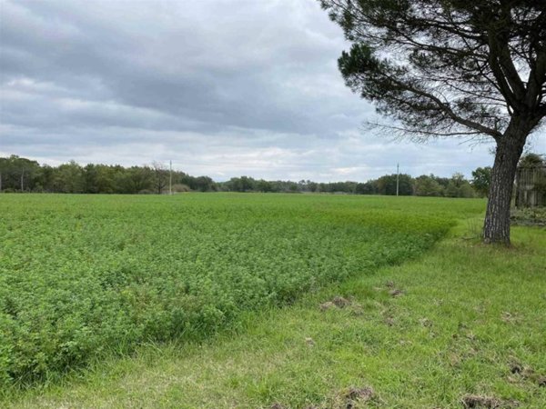 casa indipendente in vendita a Castiglione del Lago