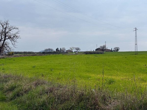 terreno agricolo in vendita a Castiglione del Lago in zona Macchie