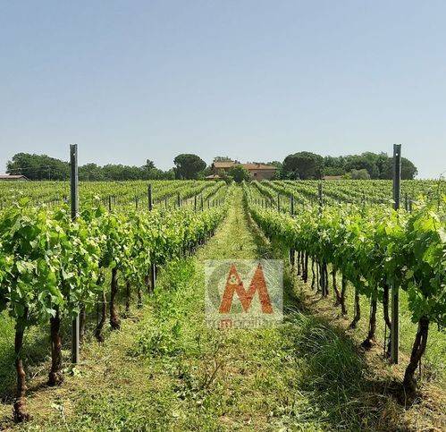negozio in vendita a Castiglione del Lago