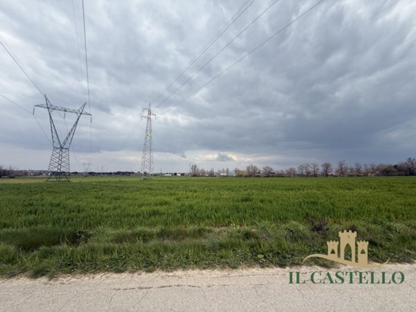 terreno agricolo in vendita a Castiglione del Lago in zona Macchie