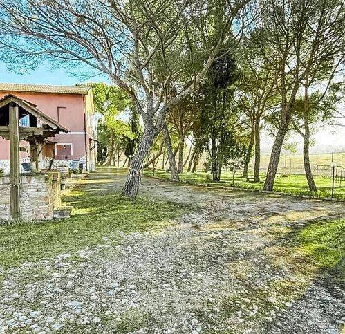 negozio in vendita a Castiglione del Lago