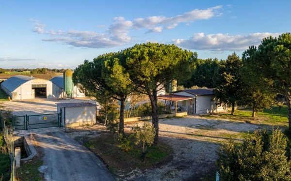 azienda agricola in vendita a Castiglione del Lago
