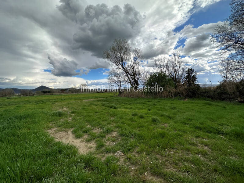 terreno agricolo in vendita a Castiglione del Lago in zona Panicarola