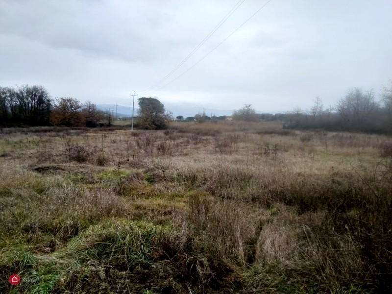 terreno agricolo in vendita a Castiglione del Lago