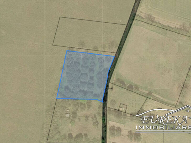 terreno agricolo in vendita a Castiglione del Lago in zona Vaiano