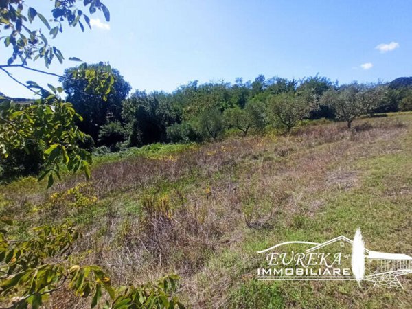 terreno agricolo in vendita a Castiglione del Lago in zona Gioiella