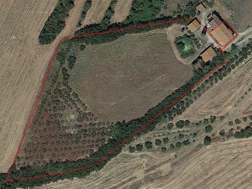 pentavano in vendita a Castiglione del Lago