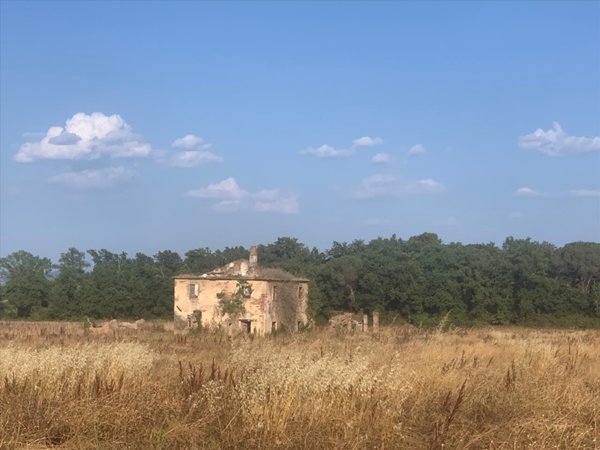 casale in vendita a Castiglione del Lago