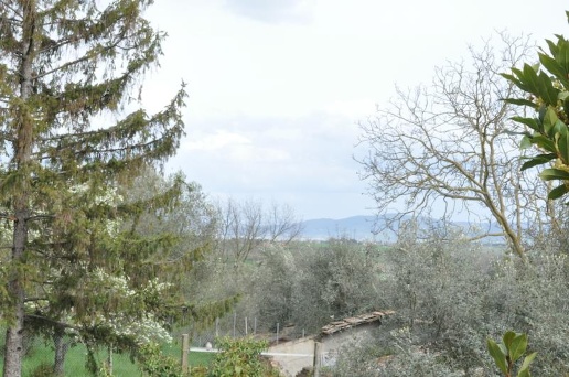 appartamento in vendita a Castiglione del Lago