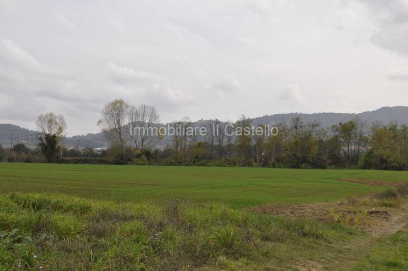 terreno in vendita a Castiglione del Lago in zona Macchie