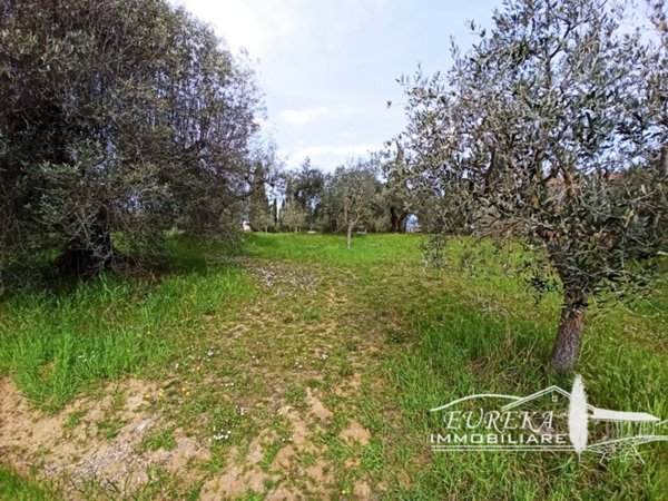 terreno edificabile in vendita a Castiglione del Lago in zona Gioiella