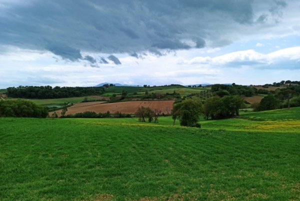 terreno agricolo in vendita a Castiglione del Lago in zona Gioiella